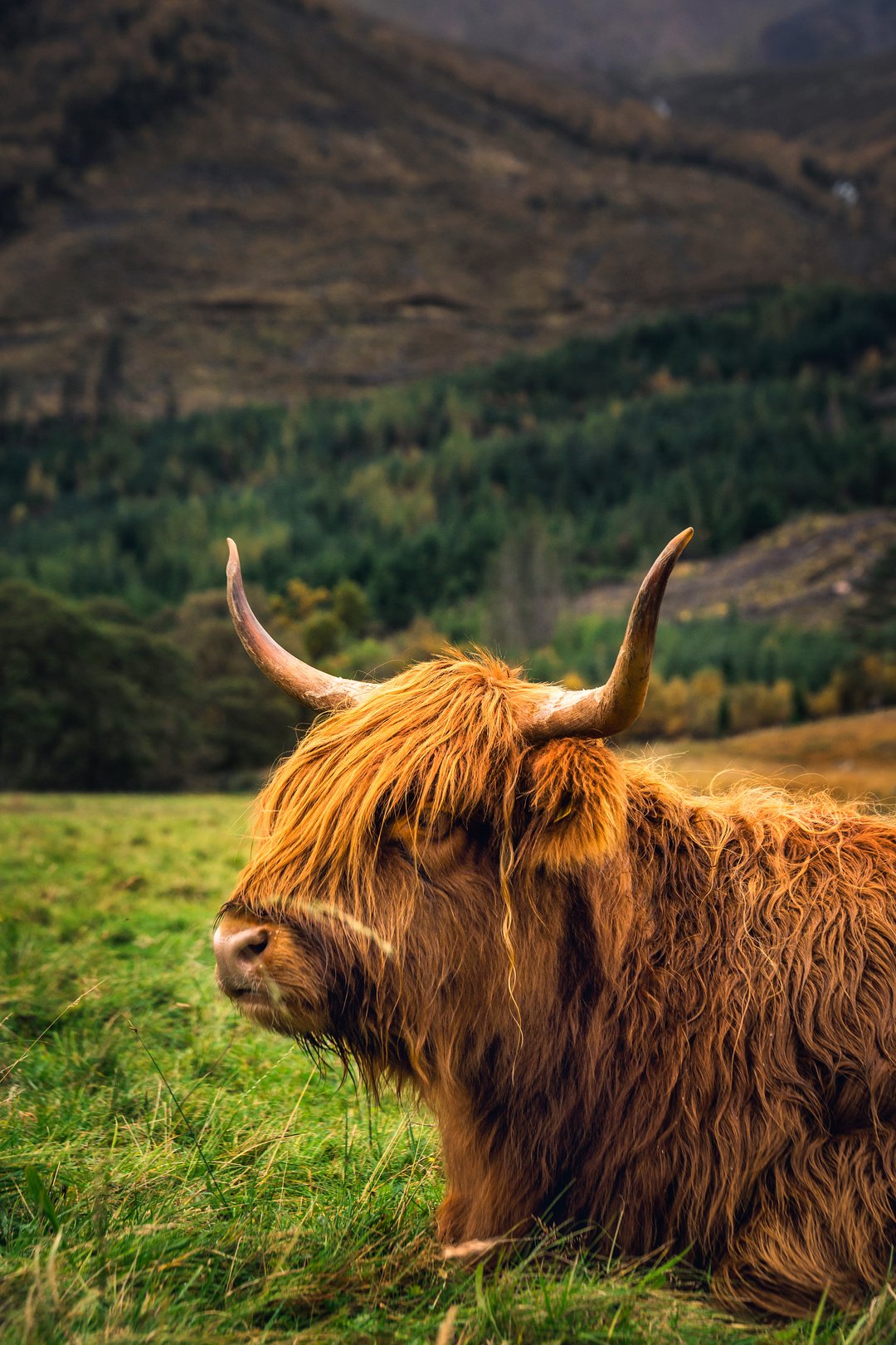 The West Highland Line: Scotland