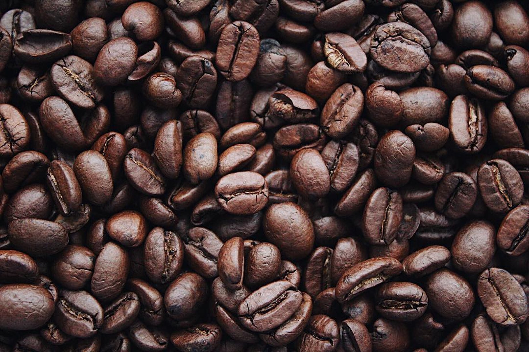 Understanding the Beans - coffee