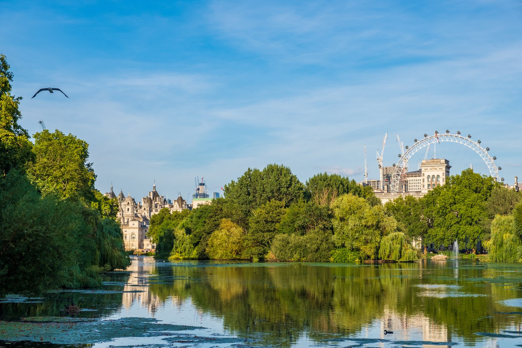 Parks and Green Spaces